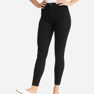 Everlane Authentic Stretch High Rise Skinny jean